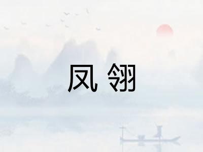 凤翎