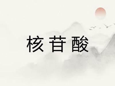 核苷酸