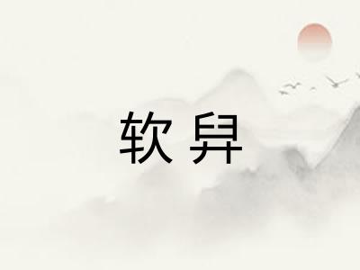 软舁