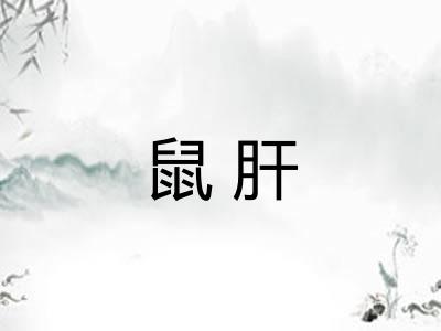 鼠肝