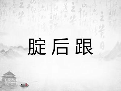 腚后跟