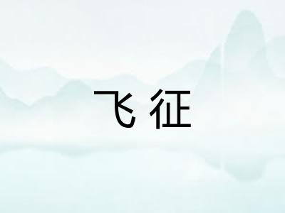 飞征 飞征