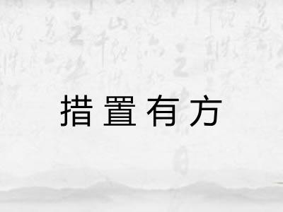措置有方