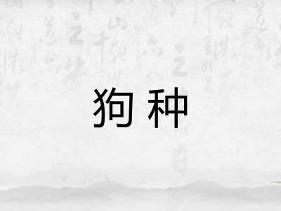 狗种