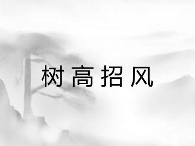 树高招风