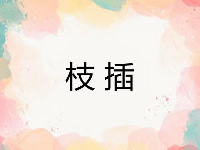 枝插