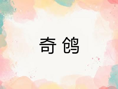 奇鸧 奇鸧