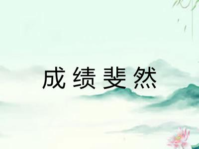 成绩斐然