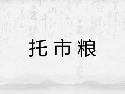 托市粮 托市粮
