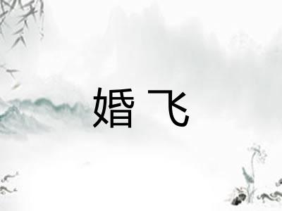 婚飞 婚飞