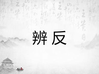 辨反