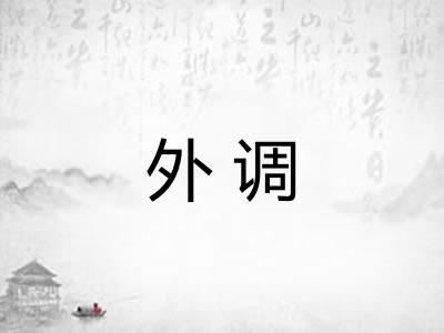 外调 外调