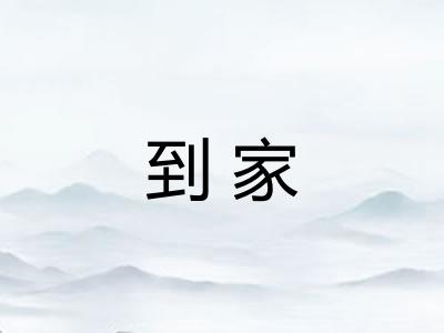 到家 到家
