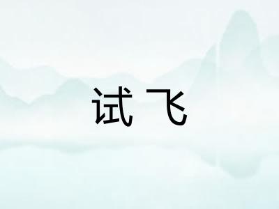 试飞 试飞