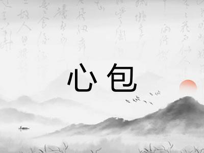 心包 心包