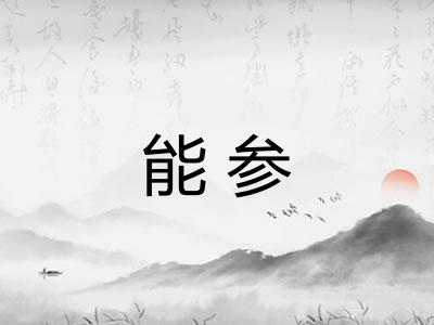 能参 能参