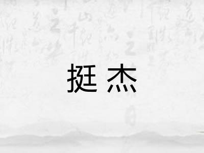 挺杰