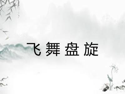 飞舞盘旋 飞舞盘旋