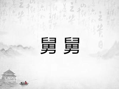 舅舅 舅舅