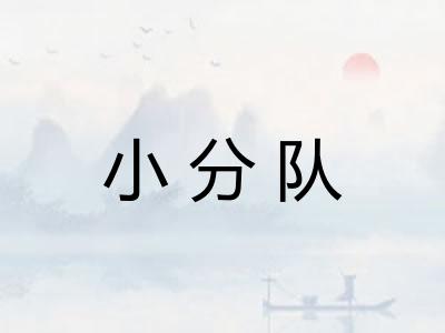 小分队 小分队