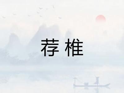 荐椎 荐椎