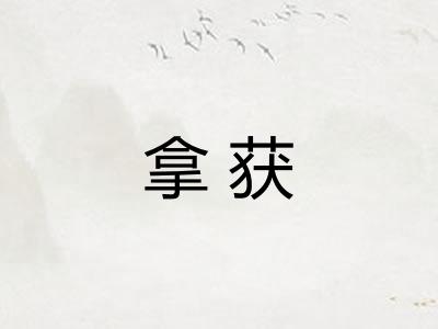 拿获