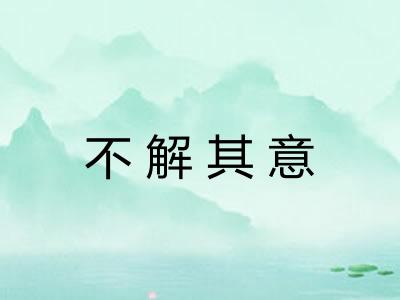 不解其意