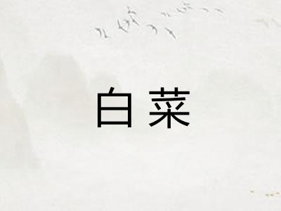 白菜 白菜