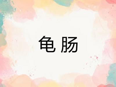 龟肠 龟肠