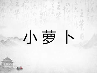 小萝卜