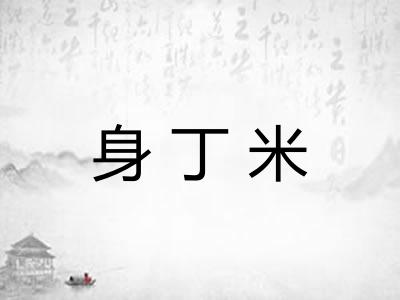身丁米