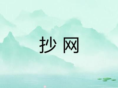 抄网