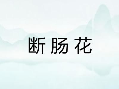断肠花