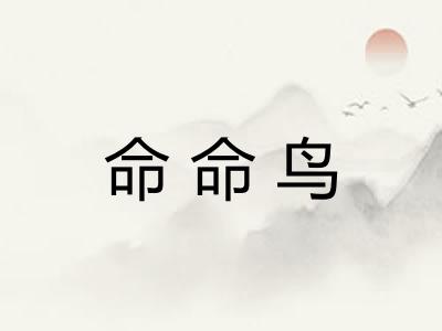 命命鸟