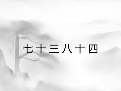 七十三八十四