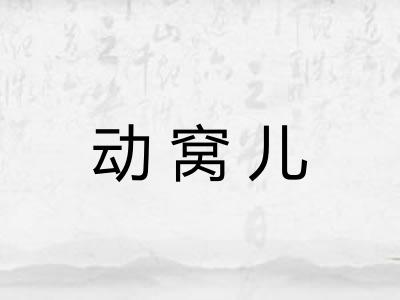 动窝儿 动窝儿