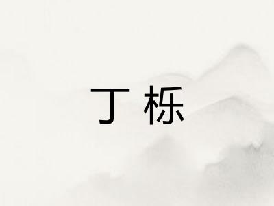 丁栎