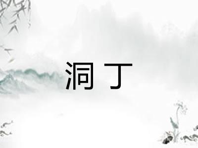 洞丁