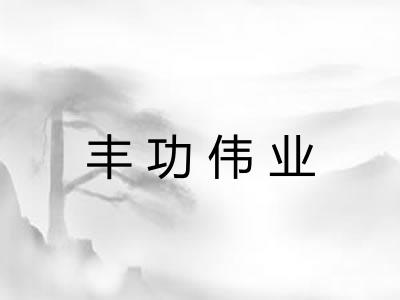 丰功伟业 丰功伟业