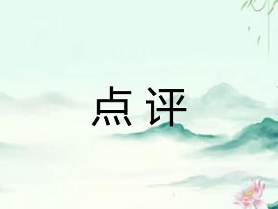 点评