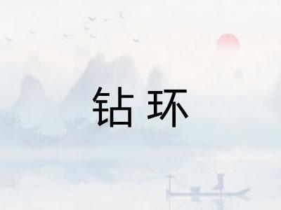 钻环 钻环