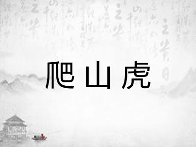 爬山虎