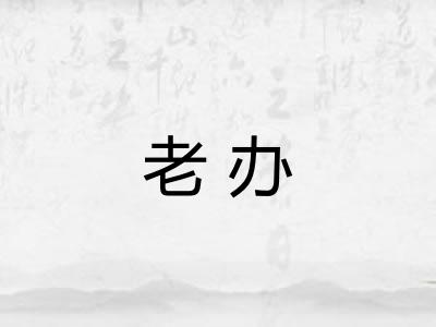 老办 老办