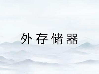 外存储器 外存储器