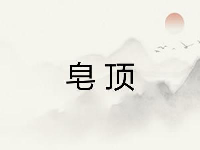 皂顶