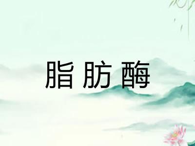 脂肪酶