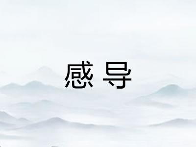 感导