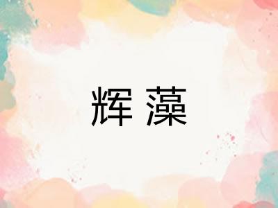 辉藻