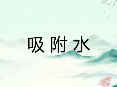 吸附水