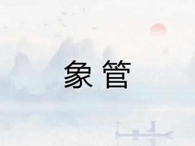 象管 象管